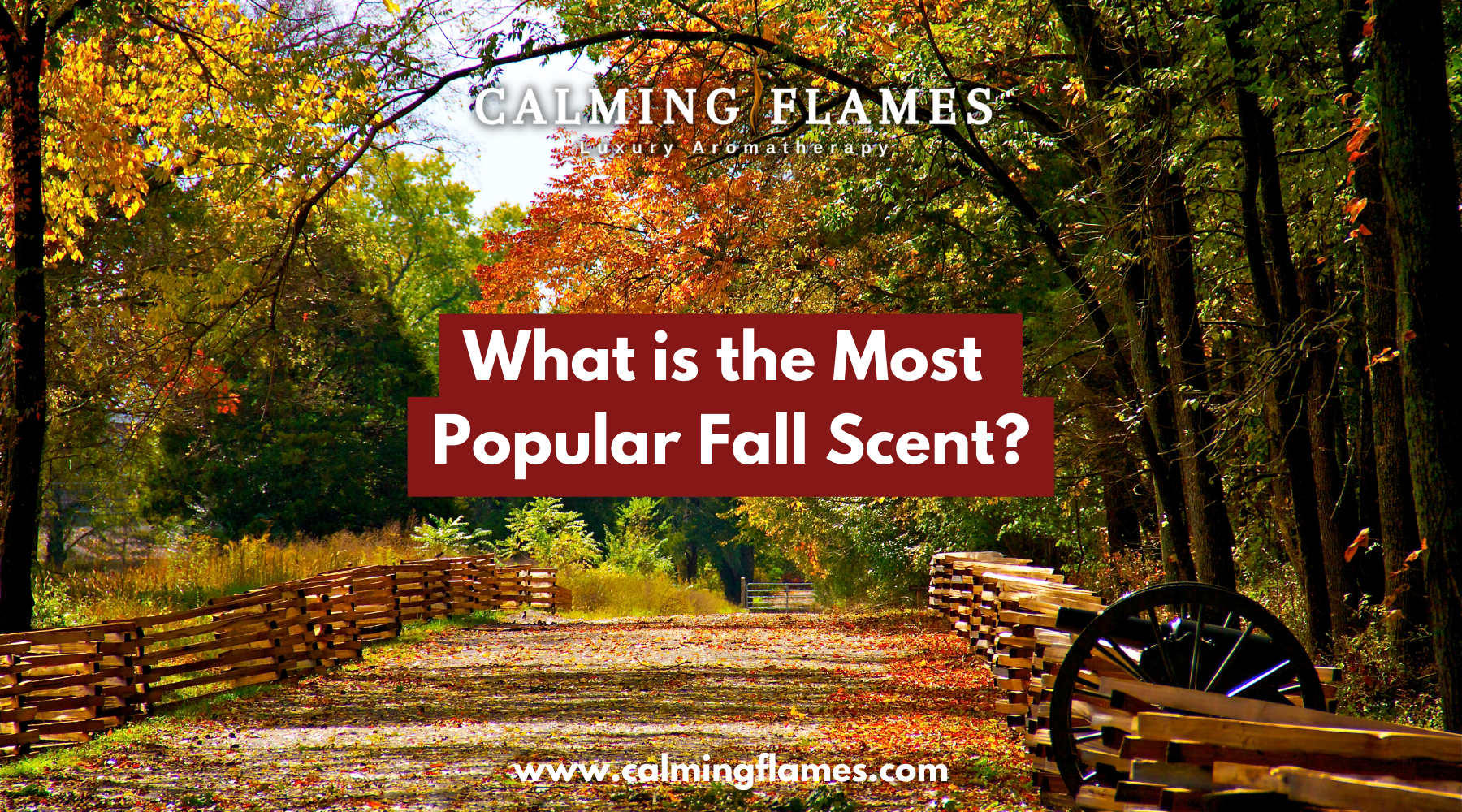 What is the most popular fall scent?