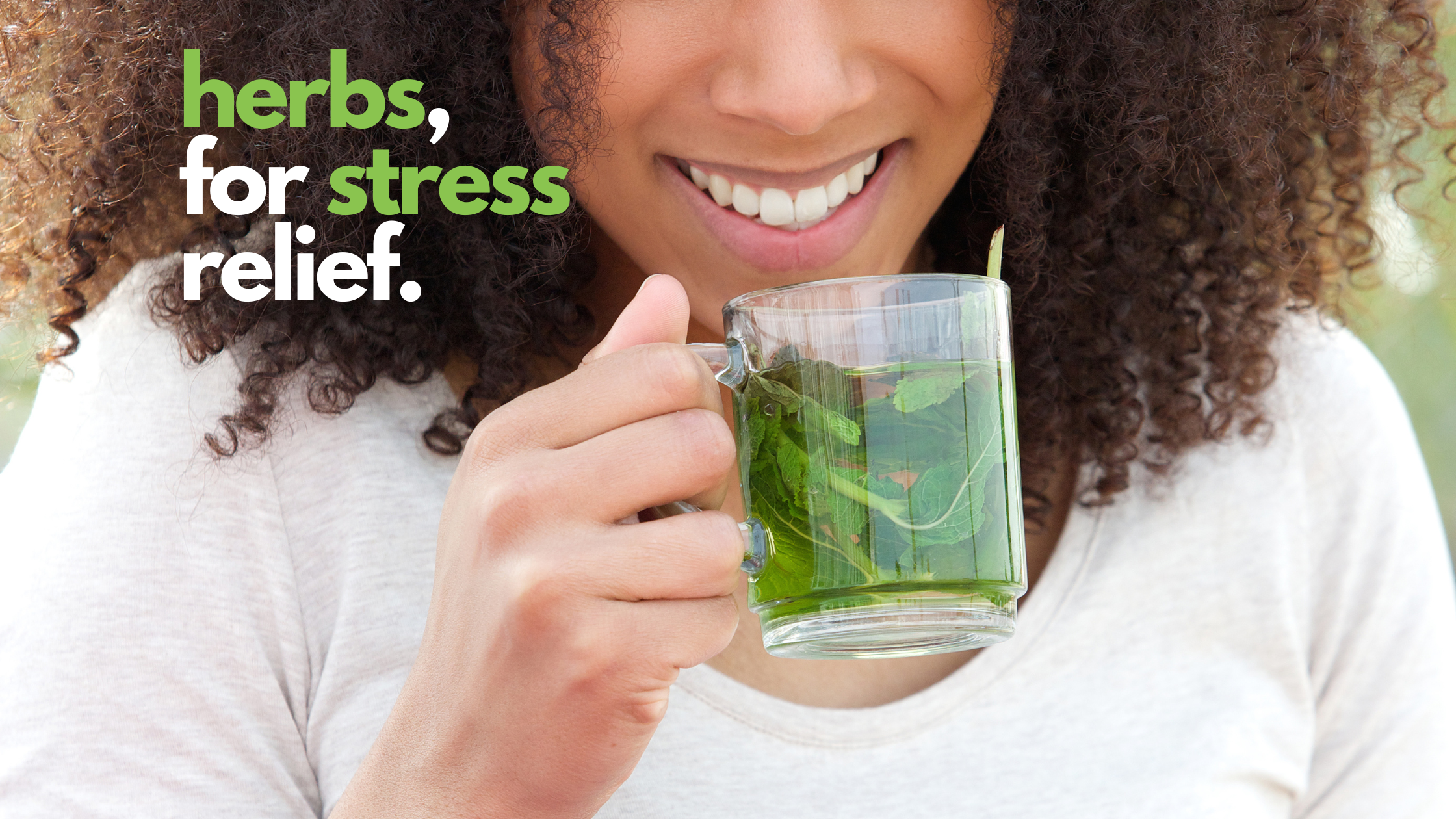 The Power of Herbs for Stress and Anxiety Relief
