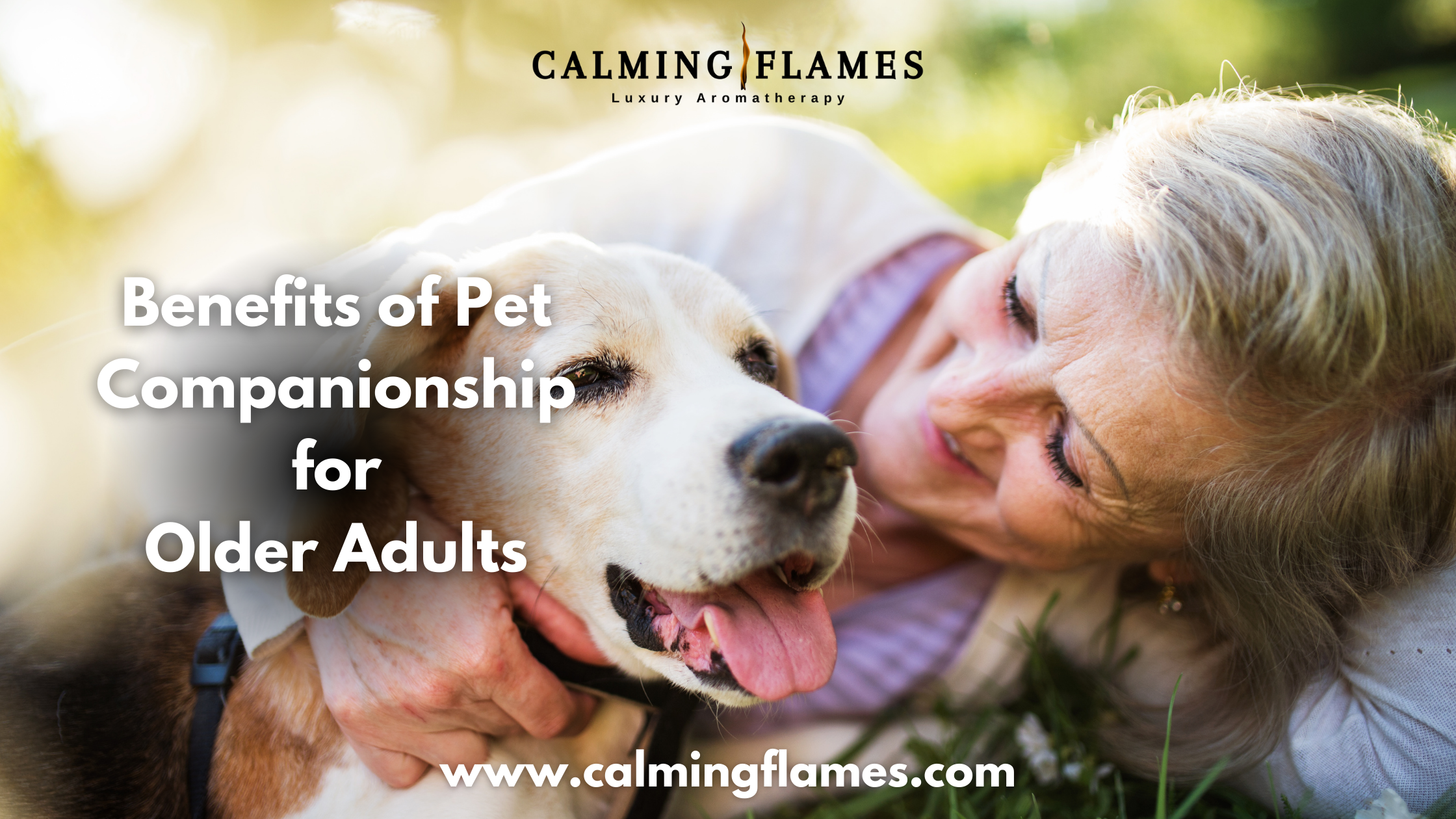 Maintaining Cognitive Skills in Older Adults: The Impact of Living with Pets