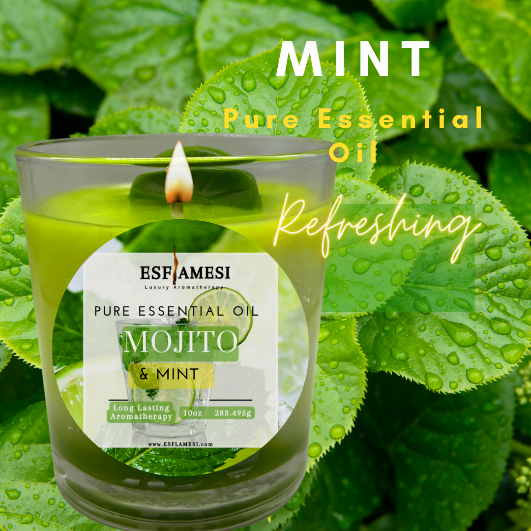Mojito Candle, Scented Candles, Mint Candle, Aromatherapy Candles