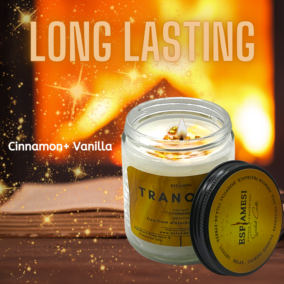 Scented Candles - Cinnamon Candles - Long lasting candles - Aromatherapy Candles