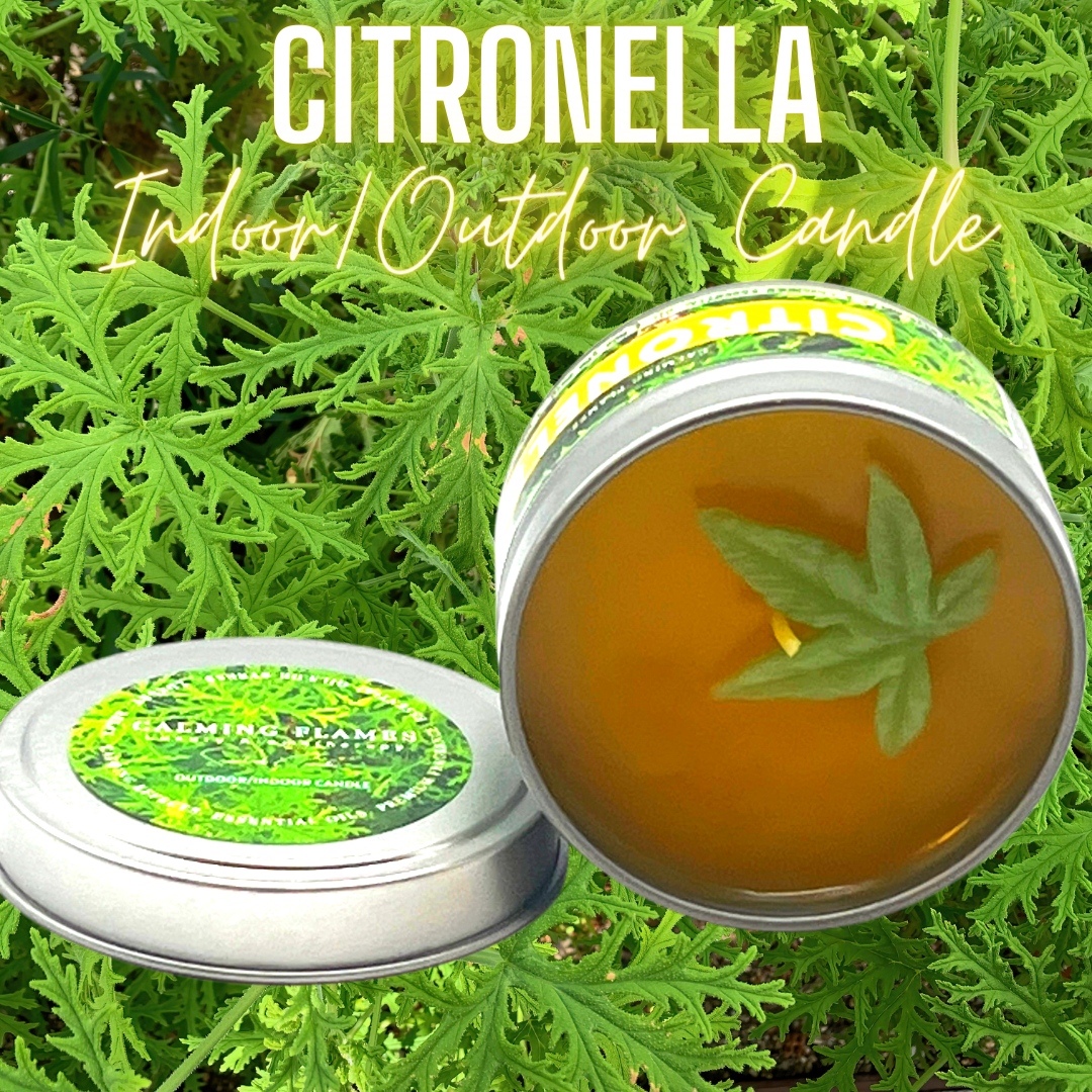 Citronella candles, scented candles, indoor candle, outdoor candle, patio candle, camping candle, citronella oil, citronella essential oil, citronella mosquito, outdoor candle, citronella candles outdoor, outdoor candle holder, mosquito candles outdoor