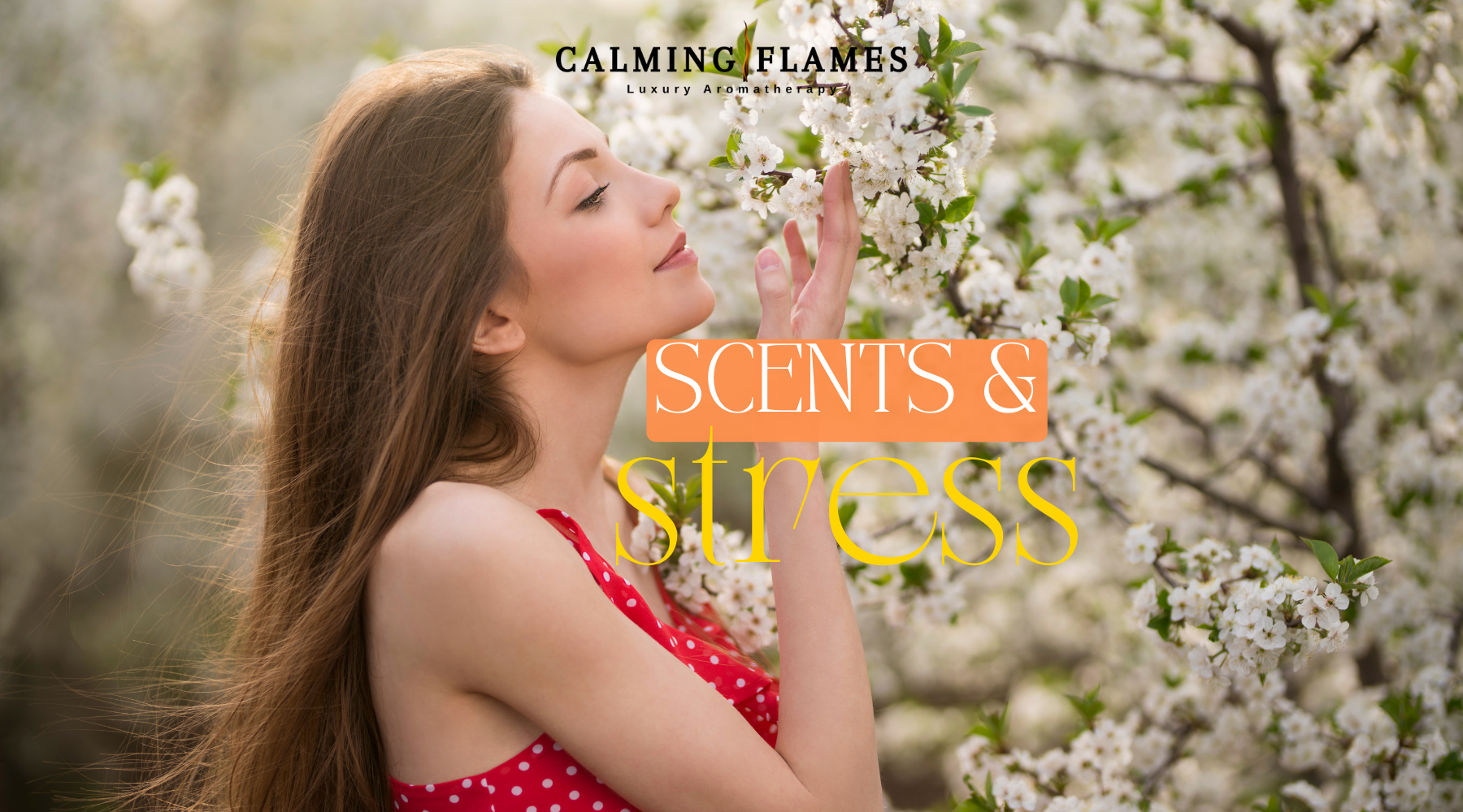 How can the power of scents through aromatherapy help you manage stress?